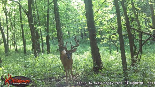 Trail Cam Photo