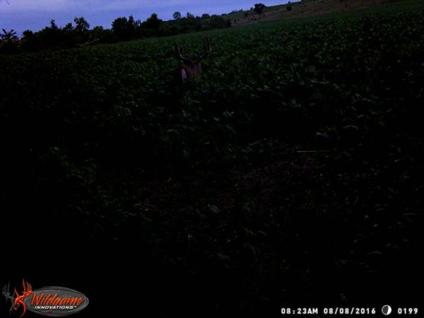 Trail Cam Photo