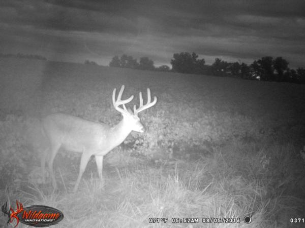 Trail Cam Photo