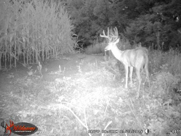 Trail Cam Photo