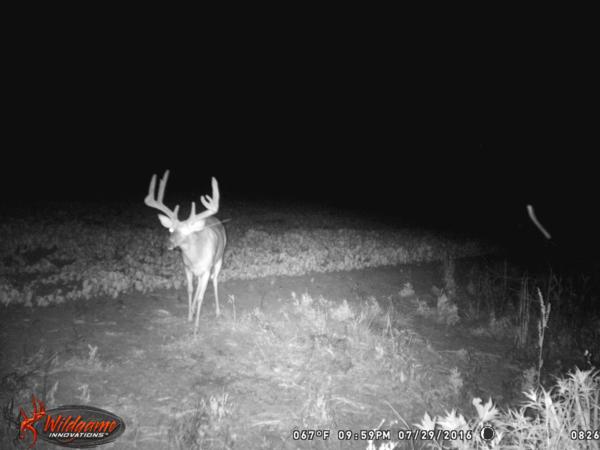 Trail Cam Photo